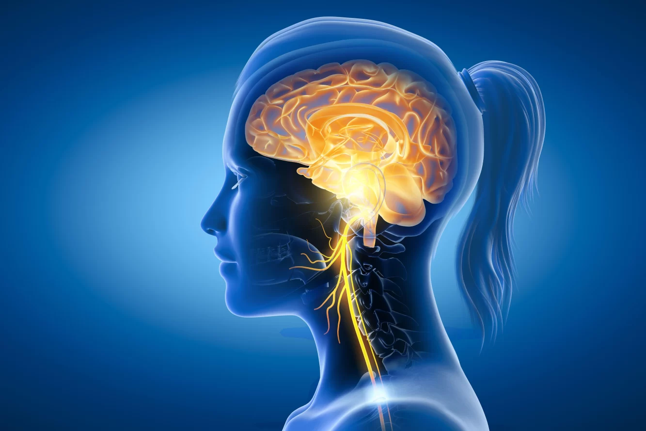 get-to-know-your-vagus-nerve