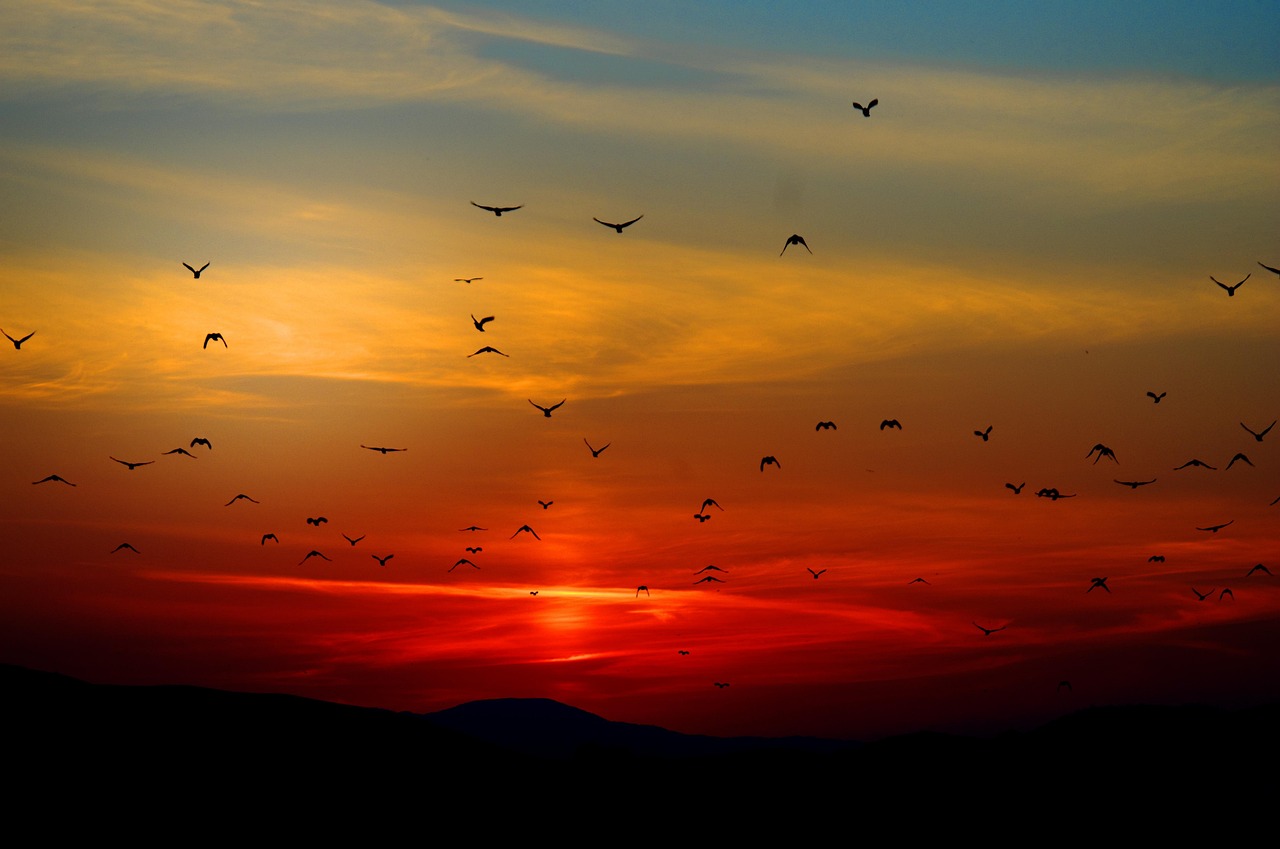 Hope and healing in addiction recovery – walking toward a brighter future.alt