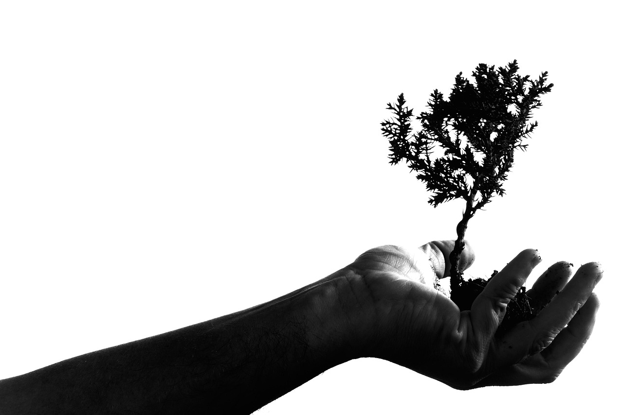 When-Love-Becomes-Rescue-Understanding-Rescuer-Syndrome-in-Relationships.alt